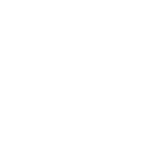 Modules for whole process: Treatment of feedstock