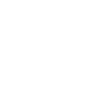 r2fuel Modul: Synthesegas Erzeugung