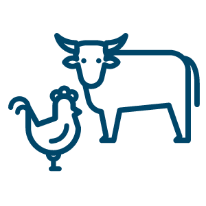 possible feedstocks: Agricultural residues